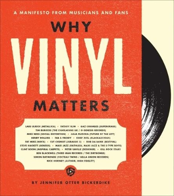 Why Vinyl Matters book