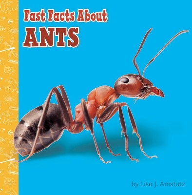 Ants by Lisa J Amstutz