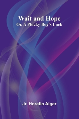 Wait and Hope; Or, A Plucky Boy's Luck book