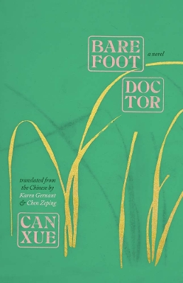 Barefoot Doctor: A Novel by Can Xue
