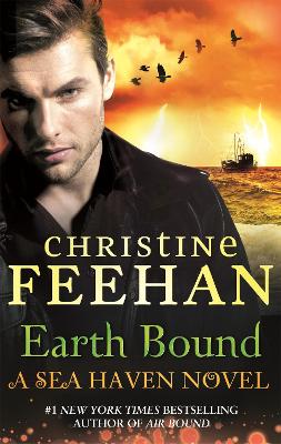 Earth Bound book