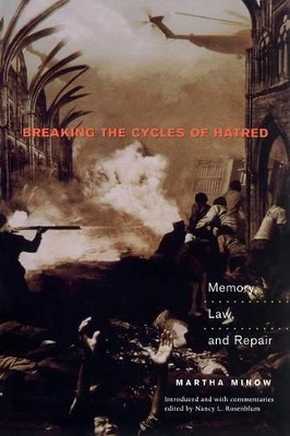 Breaking the Cycles of Hatred book