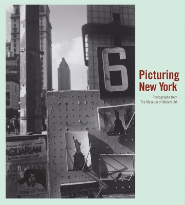 Picturing New York book