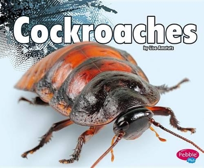 Cockroaches by Lisa J Amstutz