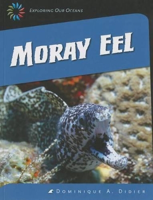Moray Eel by Dominique A Didier