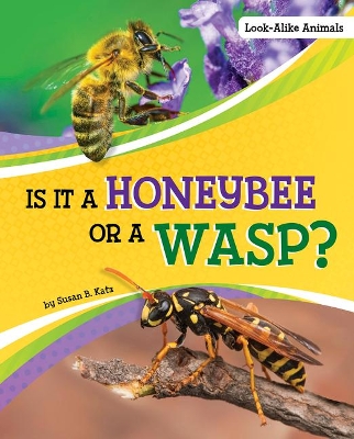 Is it a Honeybee or a Wasp by Susan B. Katz