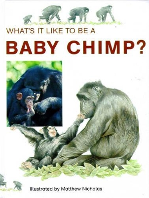 WHATS IT LIKE TO BE A BABY CHIMP book
