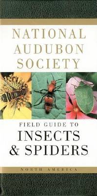 National Audubon Society Field Guide to Insects and Spiders: North America book