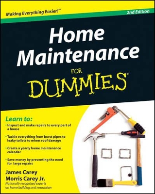 Home Maintenance For Dummies by James Carey