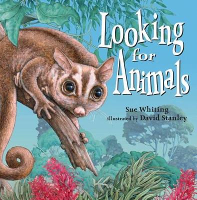 Looking for Animals book