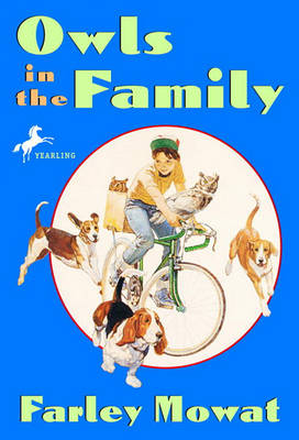 Owls in the Family book
