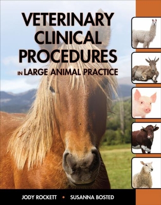 Veterinary Clinical Procedures in Large Animal Practices book