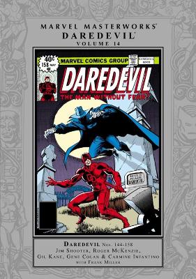 Marvel Masterworks: Daredevil Vol. 14 book