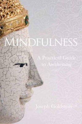 Mindfulness by Joseph Goldstein