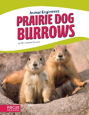 Prairie Dog Burrows book