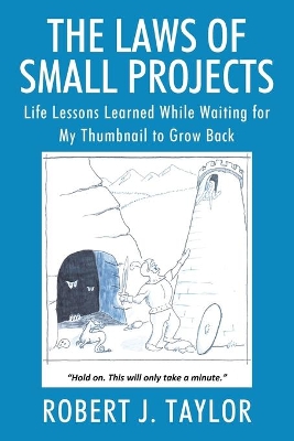 The Laws of Small Projects: Life Lessons Learned While Waiting for My Thumbnail to Grow Back book