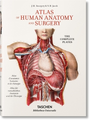 Bourgery. Atlas de Anatomía Humana Y Cirugía book