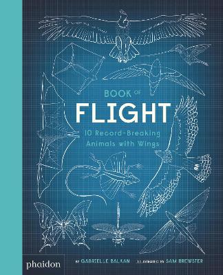 Book of Flight: 10 Record-Breaking Animals with Wings by Gabrielle Balkan