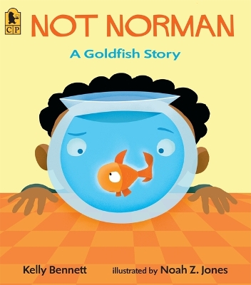 Not Norman book