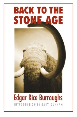 Back to the Stone Age book