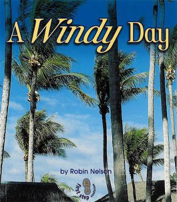 Windy Day book