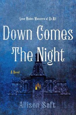 Down Comes the Night book