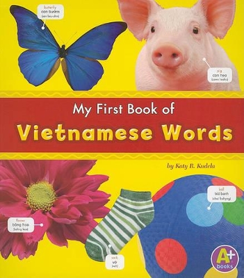 Myfirst Book of Vietnamese Words book