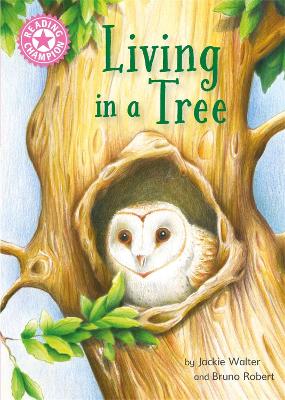 Reading Champion: Living in a Tree: Independent Reading Non-Fiction Pink 1a book