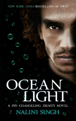 Ocean Light: Book 2 book