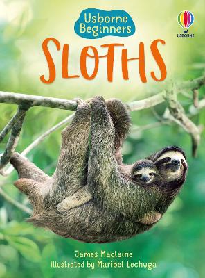 Usborne Beginners: Sloths book