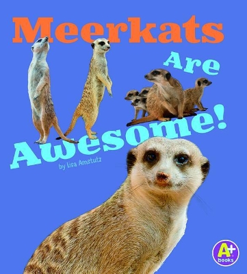 Meerkats Are Awesome! book