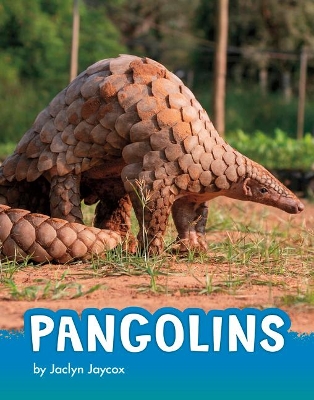 Pangolins book