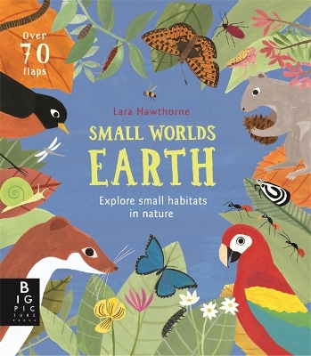 Small Worlds: Earth book