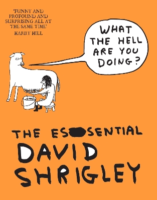 What The Hell Are You Doing?: The Essential David Shrigley book