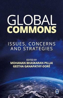 Global Commons: Issues, Concerns and Strategies book