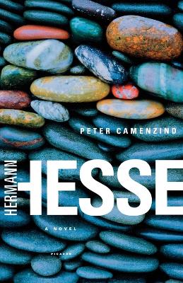 Peter Camenzind book