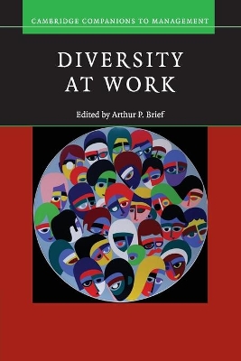 Diversity at Work book