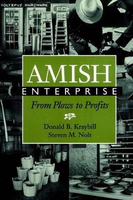 Amish Enterprise book