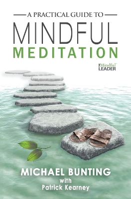 Practical Guide to Mindful Meditation book