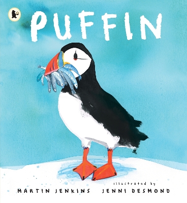 Puffin by Martin Jenkins