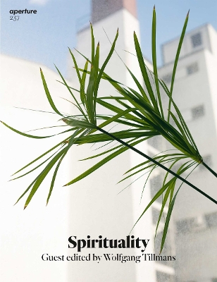 Aperture 237: Spirituality book