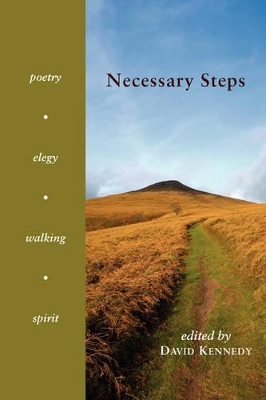 Necessary Steps by David Kennedy