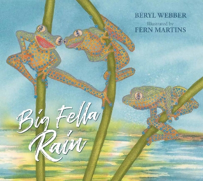 Big Fella Rain book