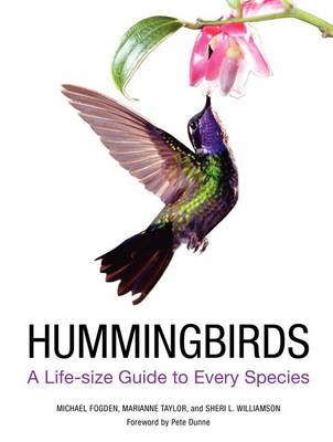 Hummingbirds: A Life-Size Guide to Every Species by Michael Fogden