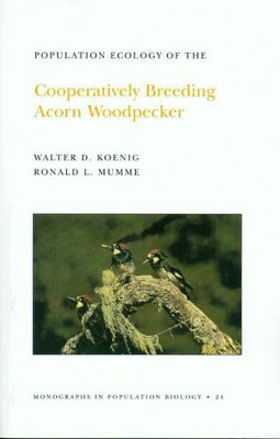 Population Ecology of the Cooperatively Breeding Acorn Woodpecker. (MPB-24), Volume 24 book