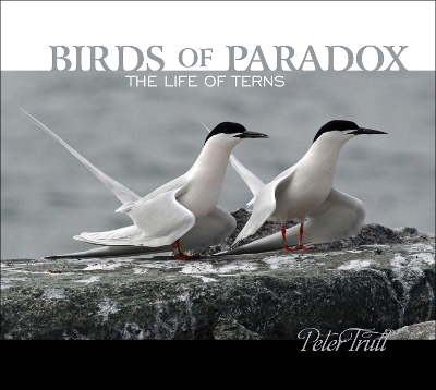 Birds of Paradox: The Life of Terns book