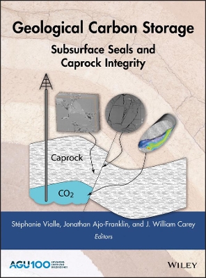 Geological Carbon Storage book