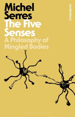 Five Senses book