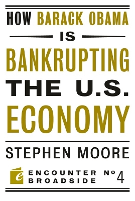 How Barack Obama is Bankrupting the U.S. Economy book