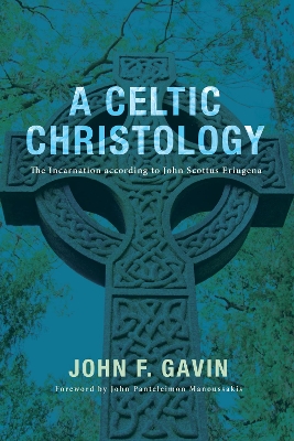 Celtic Christology book